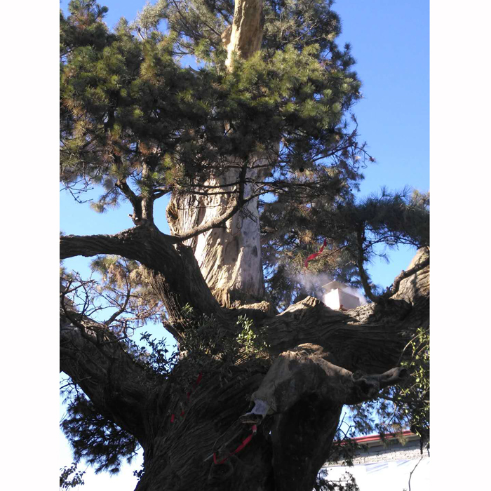 韵玺古建案例-5