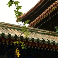 用心去感受古建筑设计中的禅意文化